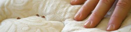We are also a members of the structural pest management association of ontario and the better business bureau. Bed Bugs City Of Toronto
