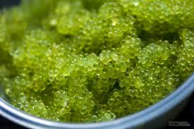 Masago Tobiko Different Types Of Popular Roes Used In Japanese Cuisine
