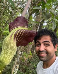 Can you identify this plant species?