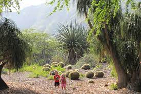 Koko Head Crater Botanical Garden On Oahu Hi Garden Design Oahu Xeriscape