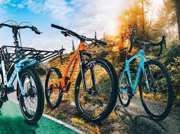 As a growing team of patrol volunteers, the mountain bike unit (mbu) has the unique opportunity to assist the national park service, the california state parks, and the santa monica mountains mountains recreation & conservation authority by providing public assistance and resource protection to the national and state parklands in southern california. Types Of Bikes Mountain Bike Vs Road Bike