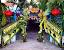 Palm Sunday Images
