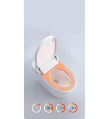 Bồn cầu thông minh Kazoshi JB-812 trắng xám giá rẻ nhất