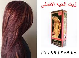 زيت الحية الأصلي 100 ومضمون يمنع تساقط الشعر Long Hair Styles Hair Hair Styles