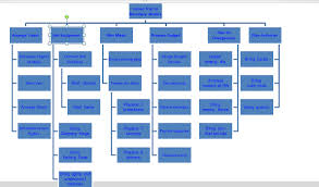 wbs work breakdown structure in ms project 2010 nenad