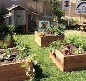 Sustainable garden products and backyard chicken coops