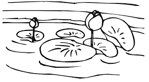 Feb 24, 2014 · lilypads, the huge circular leaves of the water lily plants, are visually appealing as they float on water along with the pretty and colorful flowers. Lily Pad In A Lake Coloring Page Free Printable Coloring Pages For Kids