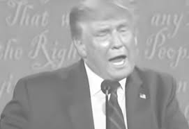 Wide Scenarios for Indoor & Outdoor