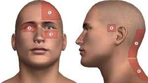 Check spelling or type a new query. Harta Durerilor De Cap Oglinda Afectiunilor De Care Suferi Afla Boala Pe Care O Ai In Functie De Locul Unde Simti Durerea Buna Ziua Iasi Bzi Ro