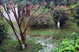 The sump pumps remove the excessive water from the soil and collect it in dug pits. Preventing Flooding In Your Backyard