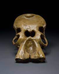 We did not find results for: What You See Before American Museum Of Natural History Facebook