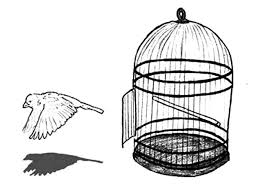 More than 5.000 printable coloring sheets. Escaping Bird Cage Coloring Pages Best Place To Color Coloring Pages Bird Cage Tattoo Designs Men