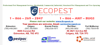 Reviews, coupons, analysis, whois, global ranking and traffic for apcpestfree.com. Calgary Pest Control Canada
