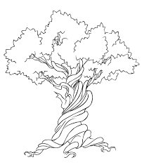 Just about everyone has experience doodling a tree, but all it takes is a little observation and detail to draw a more realistic one. Easy Simple Tree Outline Novocom Top