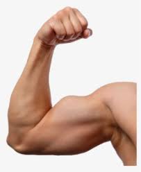 Still experimenting a lot, and my drawing motivation is currently very low! Transparent Cartoon Arms Png Anime Arm Png Png Download Kindpng