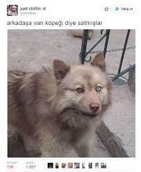 Haberneo Komik Seyler Komik Komik Bilgiler