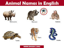 Animals Name List In English A To Z Pictures And Pdf Engdic
