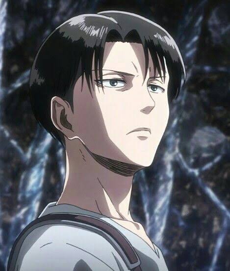 levi2