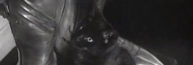 The Shop at Sly Corner (1947) - Cinema Cats