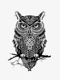 البومة حادة tatuagem coruja tatuagem de coruja tatuagem coruja maori