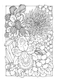 Coloring Page Flowers Dl27747 Jpg 620 875 Pixels Malvorlagen Blumen Bilder Zum Ausmalen Ausmalen