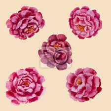 Flowers make the world a today's freebie is 6 seamless floral jpg patterns by pixel buddha. Seamless Floral Pattern Flowers Peonies Roses Texture Fototapete Fototapeten Retro Flora Pfingstrose Myloview De