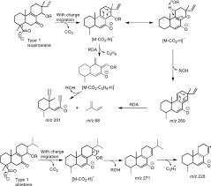 Image result for Aeollanthus pubescens