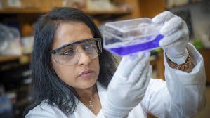 Postdoctoral Fellows