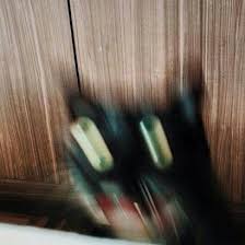 Cat Falling Off A Table Funny Funny Pictures Hilarious