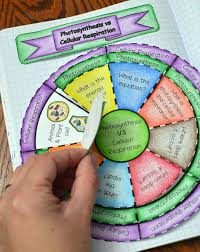 Math In Demand Photosynthesis Cellular Respiration Teaching Biology