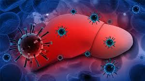 Hepatitis b infection is caused by the hepatitis b virus (hbv). Roche Aiming For A Cure For Hepatitis B