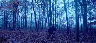 Descriere discuţii0 comentarii0 notițe privind schimbările. Joji Filthy Frank Aesthetics Vaporwave Amino