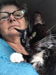 Lost Cat in Alpine Ln, Quarter Creek Rd Area