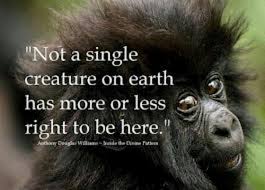 Why have species become endangered? Quotes About Endangered Animals 30 Quotes