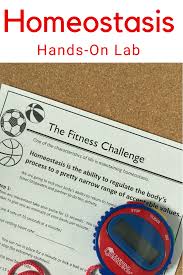 Homeostasis Worksheets Homeostasis Lab Digital Print Distance Learning Teaching Secondary Class Activities Science Lessons