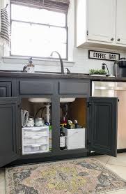 5 Simple Steps To A Cleaner Neater And More Organized Under The Kitchen Sink Cabinet Under Kitchen Sinks Kitchen Sink Decor Under Kitchen Sink Organization