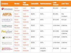 Pet Insurance Reviews 2019 Cost Coverage Comparisons