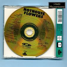 Try planting some of these veggies, which don't shy away from a little hot weather. Hothouse Flowers Don T Go Cd Video Maxi