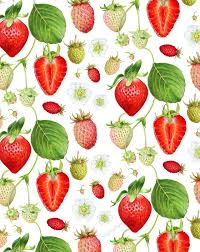 Pattern Play Pour Peindre Graphisme Legume Rouge
