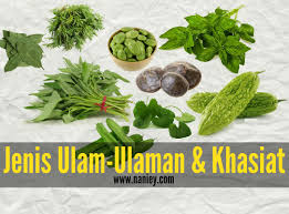 Apa saja khasiat daun salam yang bisa kamu dapatkan? Khasiat Ulam Ulaman Untuk Kesihatan Dan Kecantikan Nanieybarnieylurviey