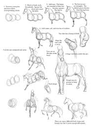 Gosset poses anatomy references dogs animals puppies puppy. How To Draw Animals Feltmagnet