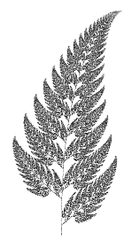 It is constructed by plotting a sequence of points in the $(x,y)$ plane, starting at $(0,0). Fractal Ferns