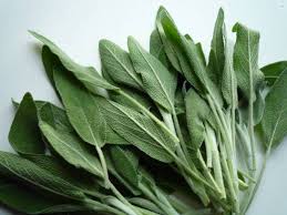 Comment Utiliser La Sauge Pour Une Sante D Enfer Astuces De Grand Mere Sante Remedes Naturels Sauge Bienfaits