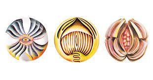 Each setting is laid out on a separate embroidered textile runner. The Dinner Party Artist Judy Chicago S Iconic Antidote To The Erasure Of Women In The History Of Creative Culture Brain Pickings
