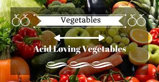 Vegetable garden soil is a mix of clay, silt, sand, organic materials, and porous space. Acid Loving Vegetables Top 25 Vegetable You Need To Know