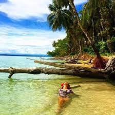 Over 26,000 people have been affected and the bocas del toro rotary club is organizing a relief effort. Bocas Del Toro Insel Colon Restaurant Bewertungen Telefonnummer Fotos Tripadvisor