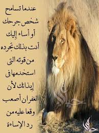 Pin By فلسطينية ولي الفخر On روائع الحكم Animals Lion