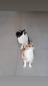 images?q=tbn:ANd9GcT21SOuFiJwnzLcI__AaGVd0n6gxFT-qE7sMw&s