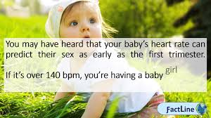 What Is The Fetal Heart Rate For Girl Or Boy Youtube
