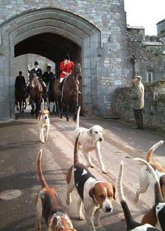 Discover 33 British fox hunt and english hunting ideas | fox hunting in winter, british fox hunting art, fox hunt and more